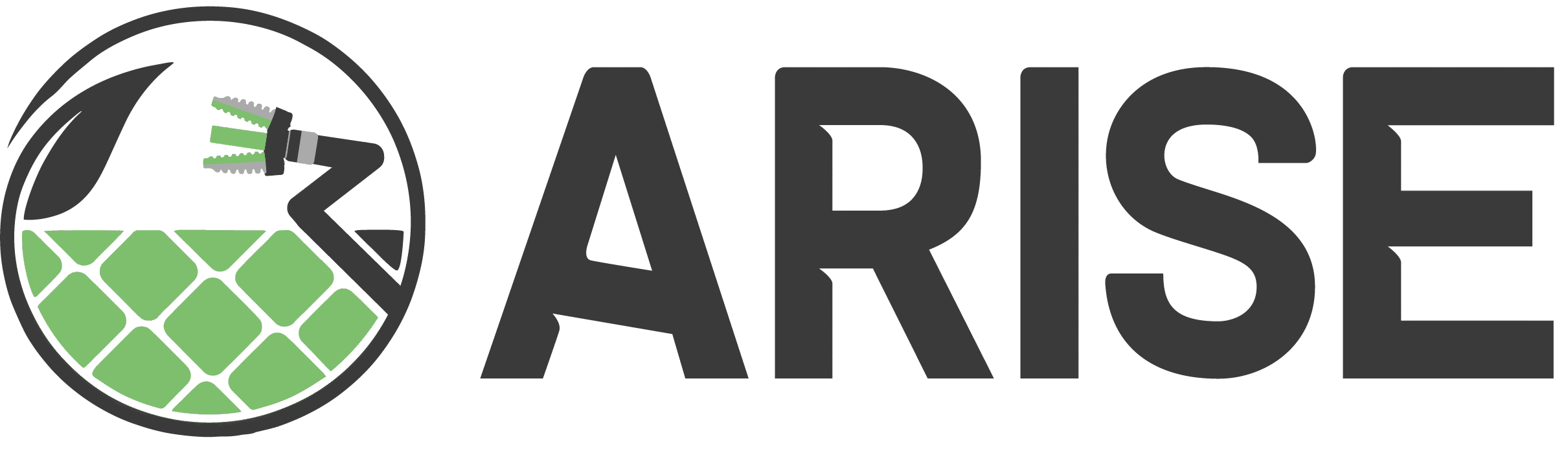 Arise logo
